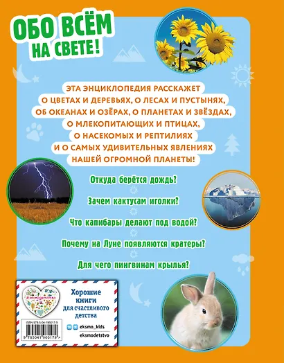 Обо всем на свете! Большая энциклопедия для маленьких - фото 2
