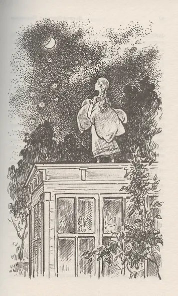 Поллианна - фото 6