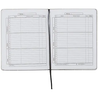 Дневник школьный Феникс+, "Кот" - фото 3