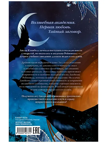 Академия Рейвенхолл. Тайная магия (рис. обложка) - фото 2