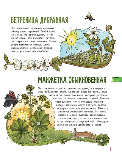 Цветы и растения - фото 12