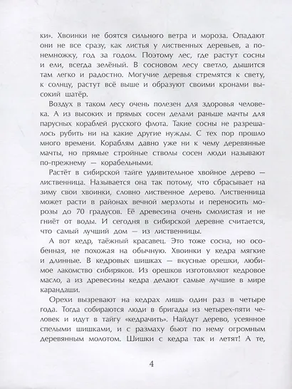 Тайга. Удивительный лес - фото 4