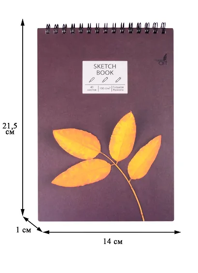 Скетчбук А5 40л "SKETCHBOOK. New life", 100г/м2, евроспираль - фото 2