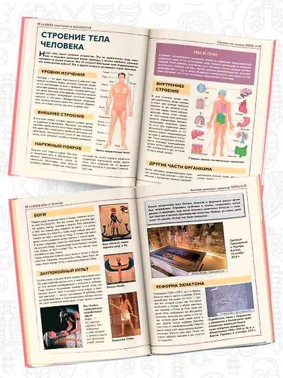 Человек - фото 3