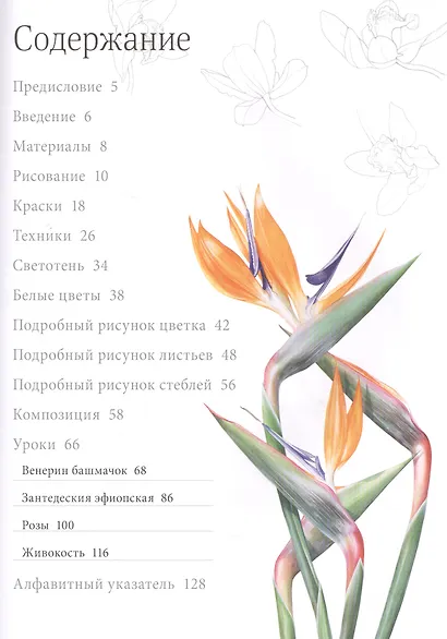 Акварельные портреты цветов. Практическое руководство по ботанической иллюстрации - фото 7