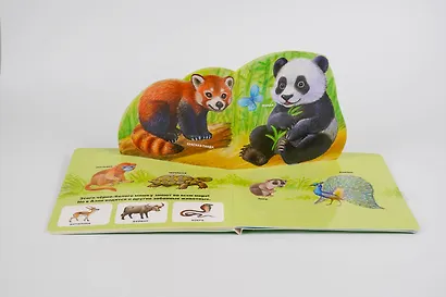 В зоопарке - фото 10