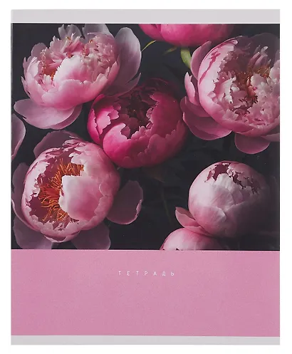 Тетрадь 48л кл. "Цветочный сад" мел.картон, ассорти - фото 6