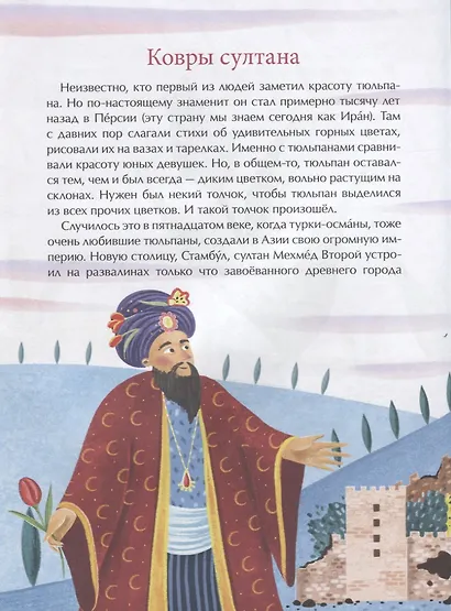 Тюльпан. Цветок султанов и мельников - фото 2