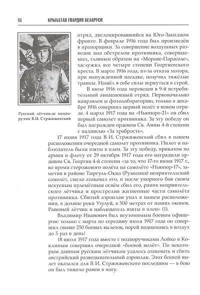 Крылатая гвардия Беларуси. Книга 1. Летчики Беларуси в годы Первой мировой войны - фото 5