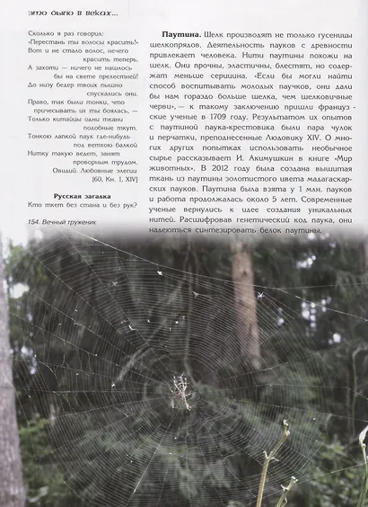 Ручное ткачество. Практика. История. Современность (комплект из 2 книг) - фото 4