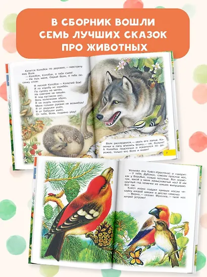 Лесной Колобок - Колючий Бок - фото 5