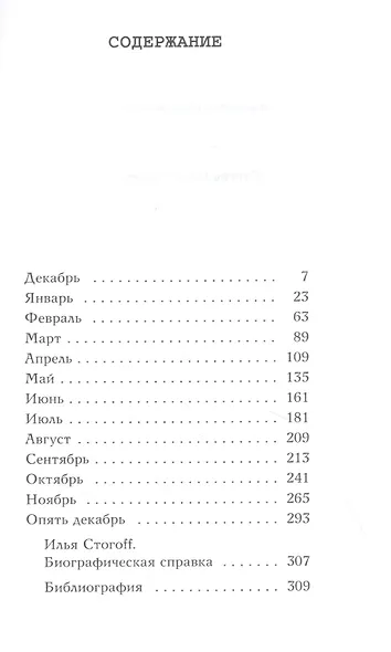 13 месяцев: роман - фото 2