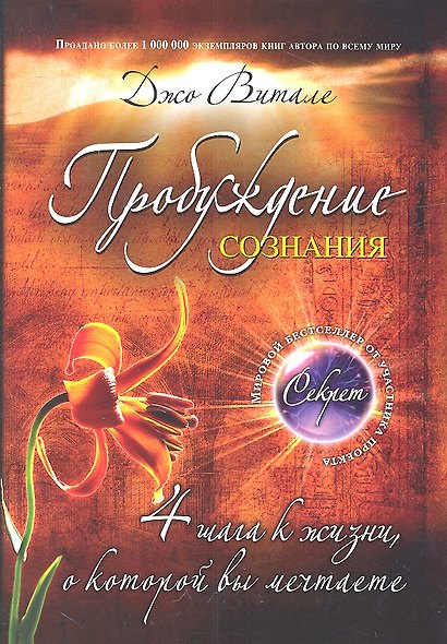 Пробуждение сознания : 4 шага к жизни, о которой вы мечтаете - фото 2