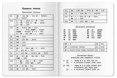 Тетрадь для записи английских слов Айрис, "Весёлые котята", А5, 24 листа - фото 4