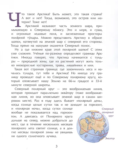 Арктика. Ледяная шапка Земли - фото 2