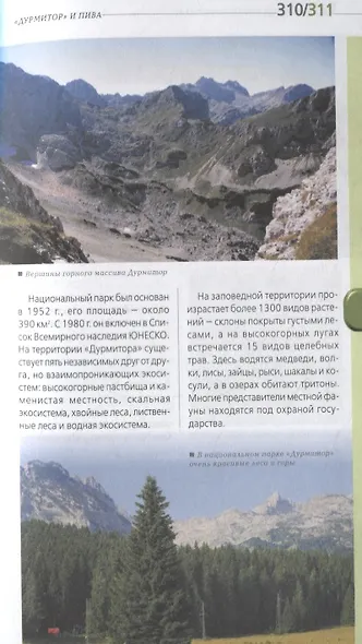 Черногория: путеводитель+карта. 2-е изд., испр. и доп. - фото 11