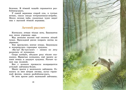 Год в лесу. Рассказы о природе - фото 11