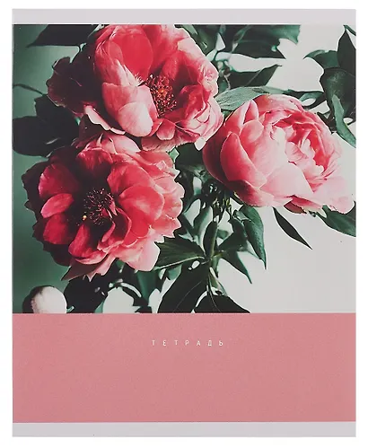 Тетрадь 48л кл. "Цветочный сад" мел.картон, ассорти - фото 3