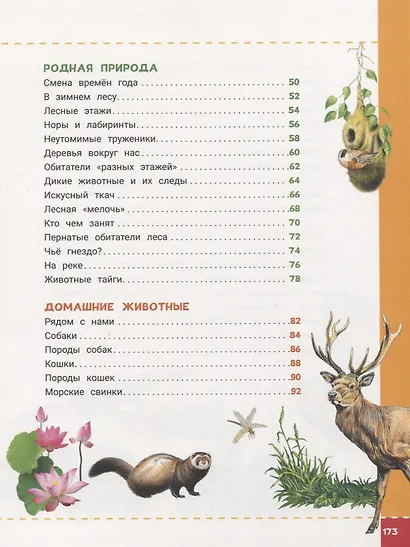 Энциклопедия будущих отличников - фото 3