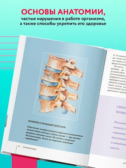 Функциональная анатомия здоровья. 2-е издание, улучшенное и дополненное - фото 5