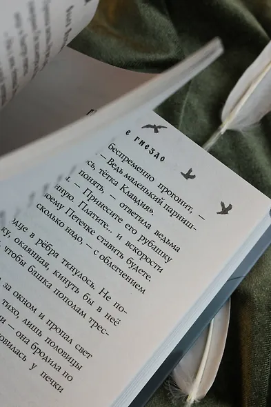 Сорочье гнездо - фото 12