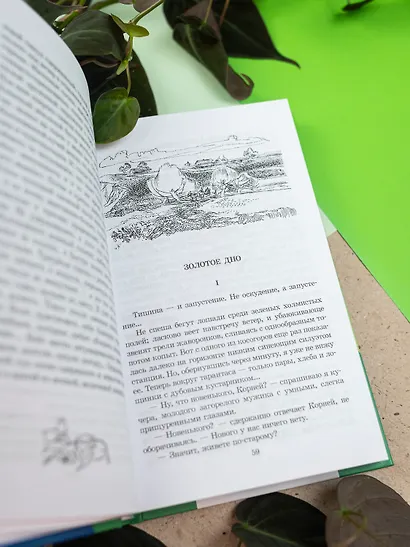 Легкое дыхание - фото 8