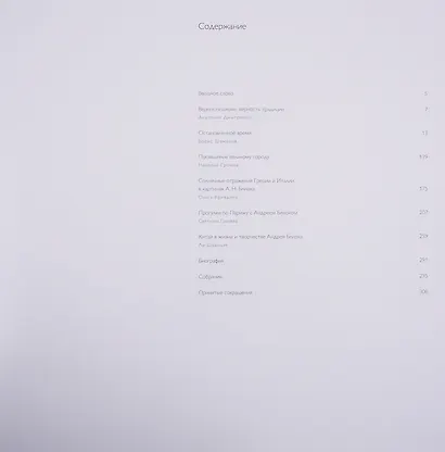 Андрей Блиок - фото 2