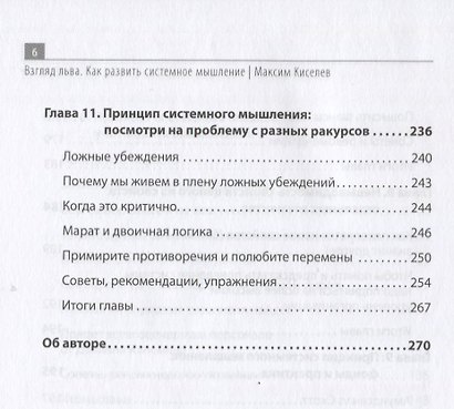 Взгляд льва. Как развить системное мышление - фото 5