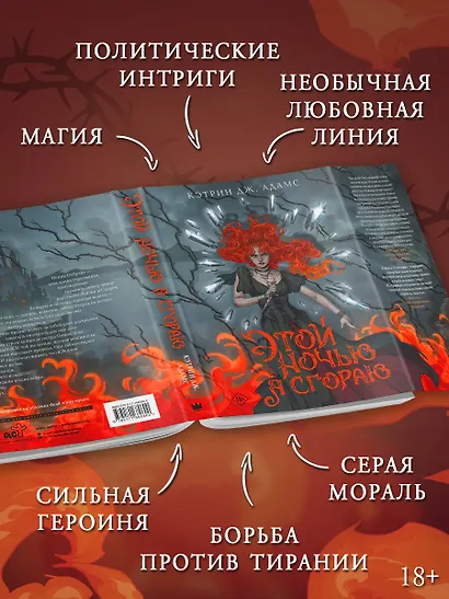 Этой ночью я сгораю - фото 4