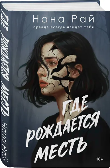 Где рождается месть - фото 3