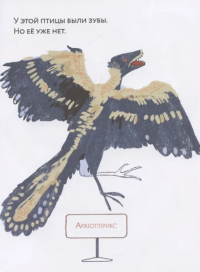 Зубы? Зубы... Зубы! - фото 4