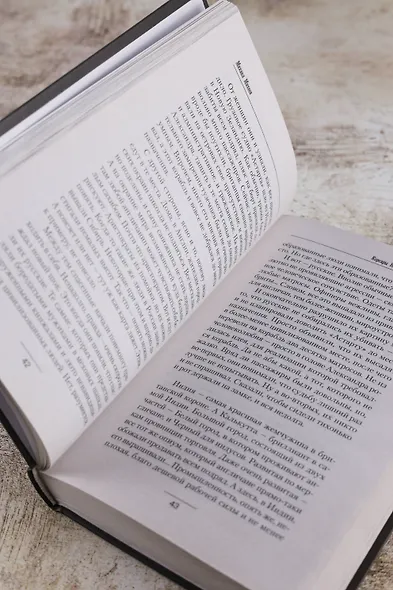 Корсары Николая Первого. Путь домой - фото 9