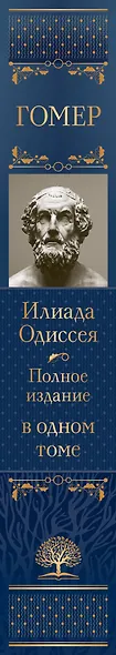 Илиада. Одиссея. Полное издание в одном томе - фото 5