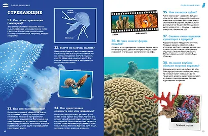 Подводный мир - фото 12