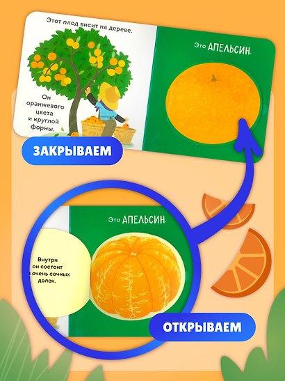 Фрукты и ягоды - фото 7