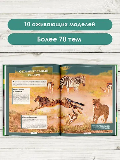 Животные нашей планеты - фото 4