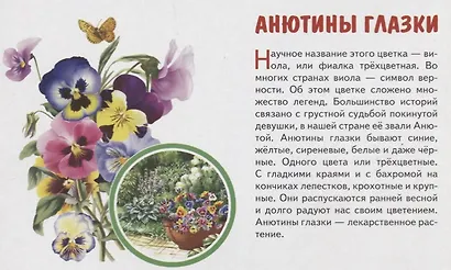 Обучающие карточки "Садовые цветы" - фото 3