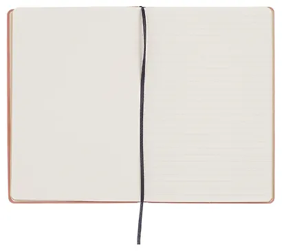 Книга для записей А5, 96 листов, нелинованная/в линейку, бордовая, Schiller - фото 6