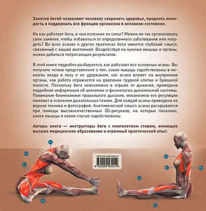Йога-анатомия. Как работают асаны для здоровья и стройности тела - фото 2