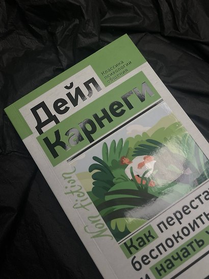 Как перестать беспокоиться и начать жить - фото 11