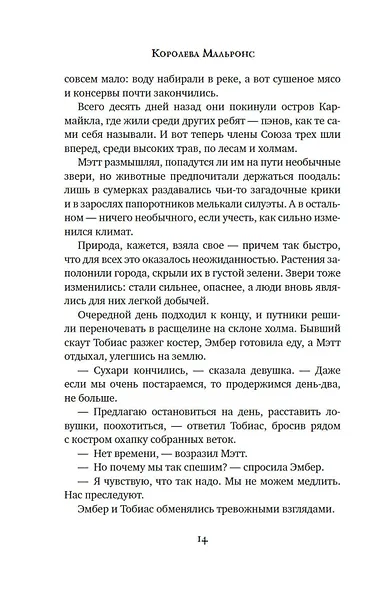 Другой мир. Книга 2. Королева Мальронс - фото 13