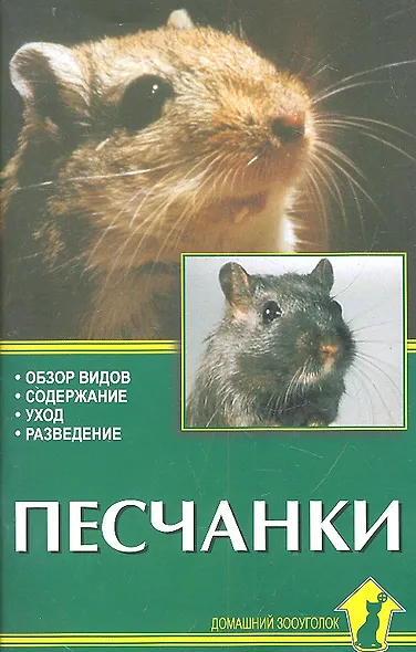 Песчанки. Обзор видов. Содержание. Уход. Разведение. - фото 2