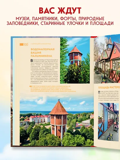 Чарующий Калининград. Самые красивые места края янтаря, которые обязательно нужно посетить - фото 6