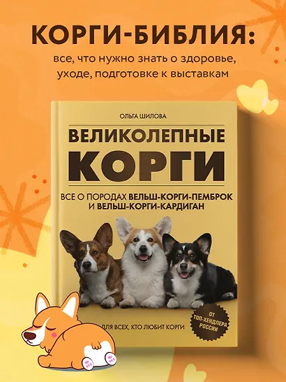 Великолепные корги. Все о породах вельш-корги-пемброк и вельш-корги-кардиган - фото 4