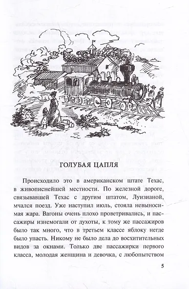 Леди Джейн, или Голубая цапля - фото 3