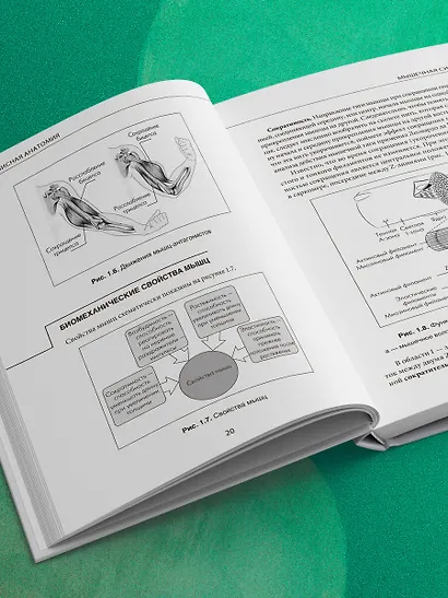 МИОФАСЦИАЛЬНЫЙ РЕЛИЗ. Эффективные методики растяжения мышц и фасций для предупреждения травм и избавления от хронических болей - фото 8