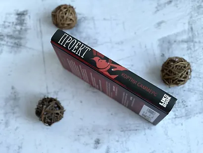 Проект - фото 5