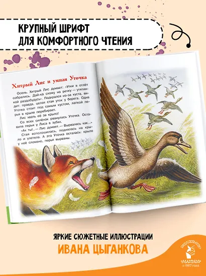 Рассказы о животных - фото 5
