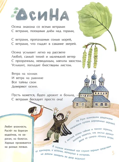 Деревья наших лесов - фото 4