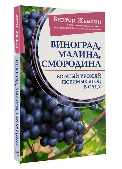 Виноград, малина, смородина. Богатый урожай любимых ягод в саду - фото 3